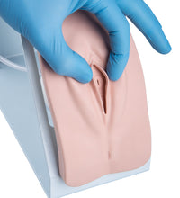 Catheterization Simulator Set Basic, Light Skin