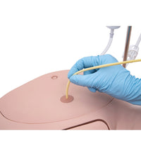 Catheterization Simulator Pro-Male, Light Skin