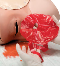 Postpartum Hemorrhage Trainer - PPH Trainer P97