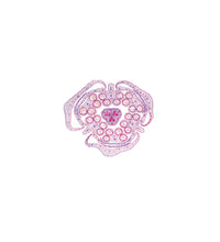 Phanerogamae, Elementary Set - English Slides