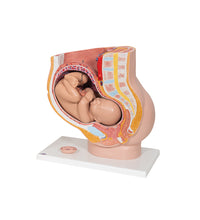 Anesthesiology Lab Set