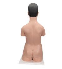 Deluxe Asian Dual Sex Human Torso Model, 18 part - 3B Smart Anatomy