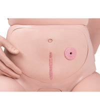 3B Scientific® Patient Care Manikin Basic