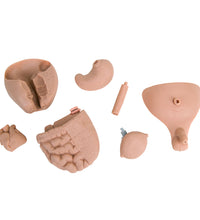 Nurse Training Baby, New Born