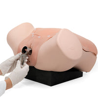 Gynecologic Skills Trainer, Light Skin