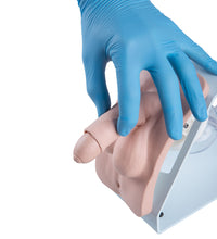 Catheterization Simulator Basic-Male, Light Skin