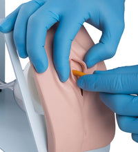 Catheterization Simulator Set Basic, Light Skin