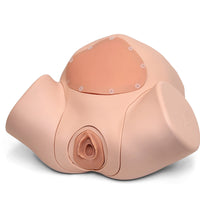 Episiotomy Suture Training Module for Birthing Simulator P90, Light Skin