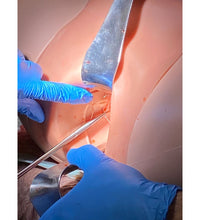 Postpartum Hemorrhage Simulator – PPH Trainer P97 PRO