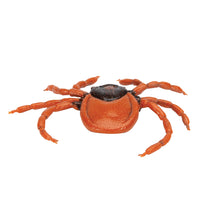 Castor Bean Tick (Ixodes ricinus), Model