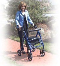 Duet Dual Function Transport Wheelchair Rollator Rolling Walker