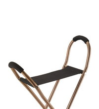 Folding Lightweight Cane with Sling Style Seat