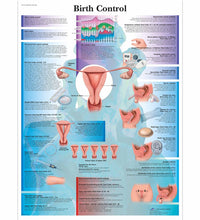 Contraceptive Set, Dark