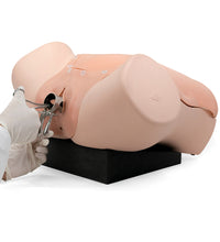 Gynecologic Skills Trainer, Light Skin