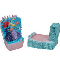 Animal Cell Model