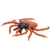 Castor Bean Tick (Ixodes ricinus), Model