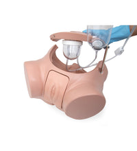 Catheterization Simulator Set Pro, Light Skin