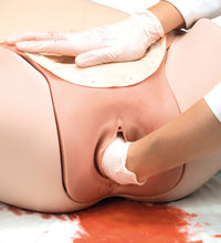 Postpartum Hemorrhage Trainer - PPH Trainer P97