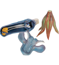 Meadow Clary Blossom (Salvia pratensis), Model