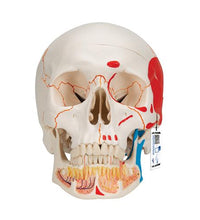 Variant Image (shared)