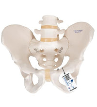 Variant Image (shared)