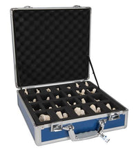 Set of 24 BONElike Vertebrae Models - 3B Smart Anatomy