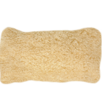 Variant Image (shared)