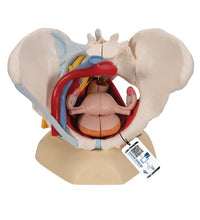 Variant Image (shared)
