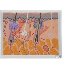 Variant Image (shared)