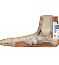 Variant Image (shared)