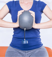 Primary Image Link