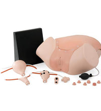 Gynecologic Skills Trainer, Light Skin