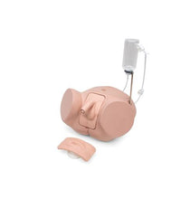 Catheterization Simulator Set Pro, Light Skin