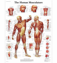 Variant Image (shared)