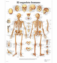 Variant Image (shared)