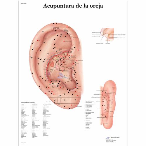 Acupuntura de la oreja