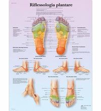 Variant Image (shared)