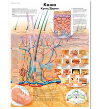 Variant Image (shared)