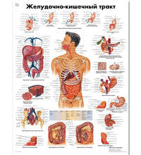 Variant Image (shared)