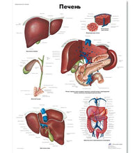 Variant Image (shared)