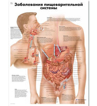 Variant Image (shared)