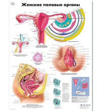 Variant Image (shared)