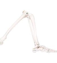 Spare leg (not painted), right, for A10, A10/1, A11, A11/1 and A15