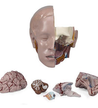 Spare head, 6 parts
