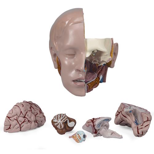 Spare head, 6 parts