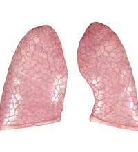 Variant Image (shared)