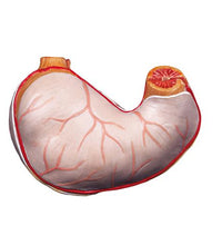 Variant Image (shared)