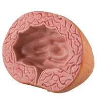 Variant Image (shared)