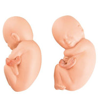Variant Image (shared)