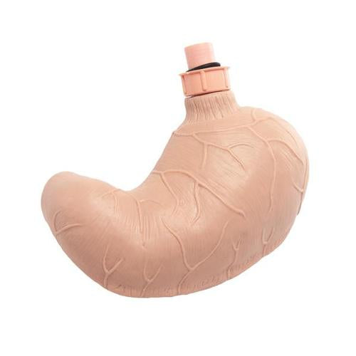 Replacement stomach for patient care training manikin